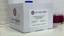 AffiELISA® Chloride intracellular channel protein 4 (CLIC4) ELISA kit