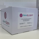 AffiELISA® Chloride intracellular channel protein 5 (CLIC5) ELISA kit