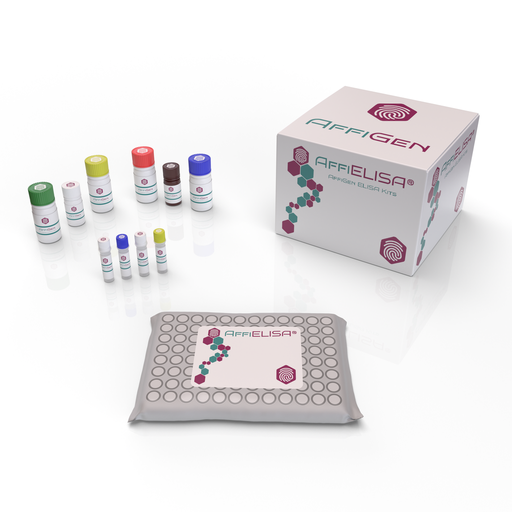 [AFG-SYP-0446] AffiELISA®​ Human Leptin ELISA Kit (WHO Standard Calibrated Positive Control Included) 