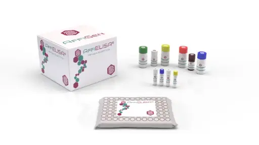 [AFG-LBE-0007] AffiELISA® Mouse MAU (Microalbuminuria) ELISA Kit 